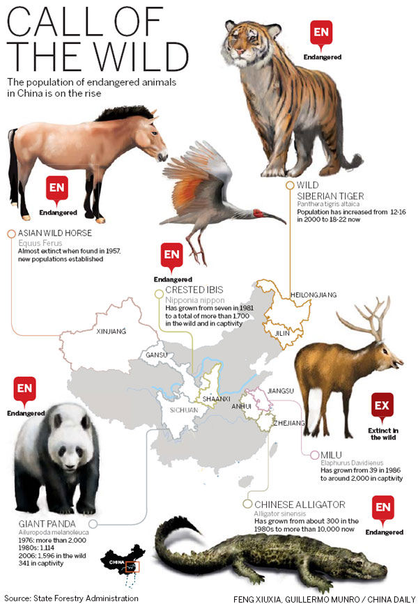 Endangered lists enjoy healthy rises in numbers USA Chinadaily