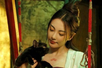 Chinese Cat3 Movie