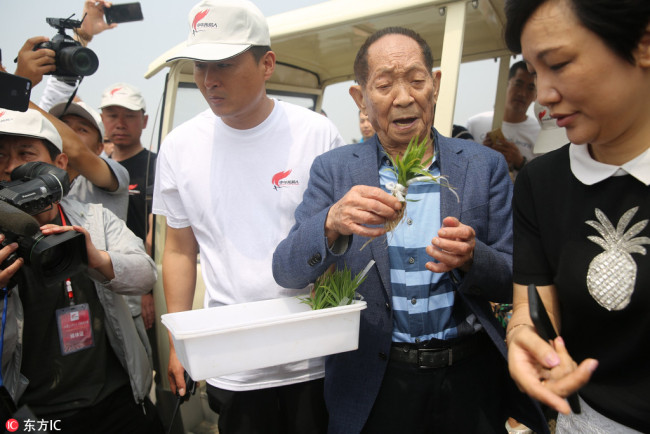 Chinese scientist Yuan Longping, known as China's 