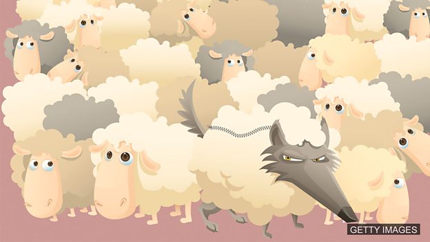Learning English - Todays Phrase – a wolf in sheeps clothing: Images/Getty