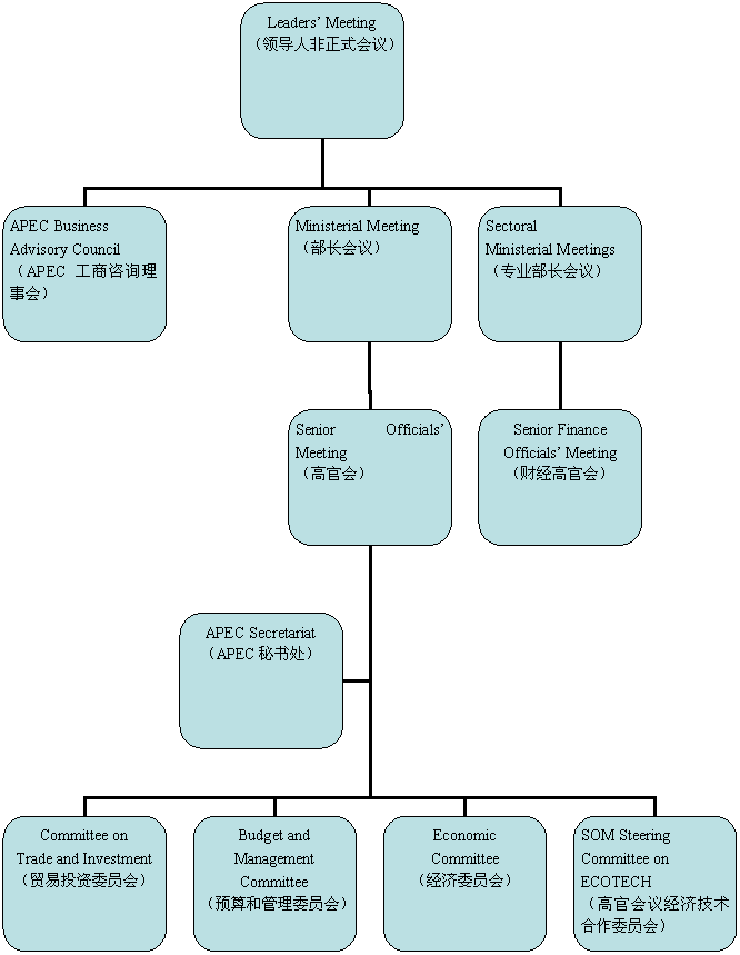组织结构图