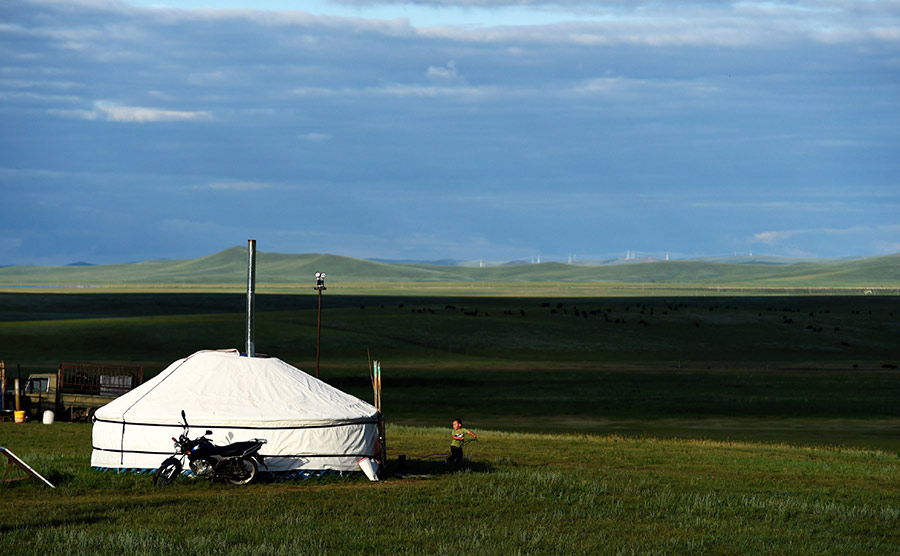 Fields Of Green, Gold In Inner Mongolian Grasslands - Chinadaily.com.cn