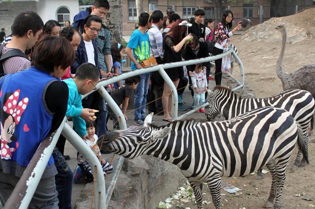 Beijing Zoo to fine visitors feeding animals 