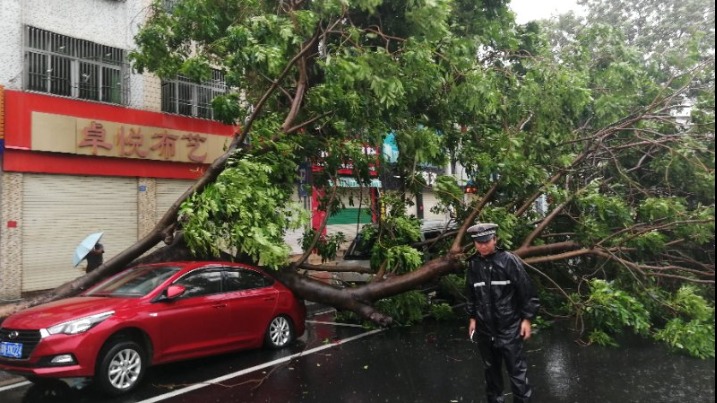 Super Typhoon Mangkhut Wreaks Havoc In Guangdong - Chinadaily.com.cn