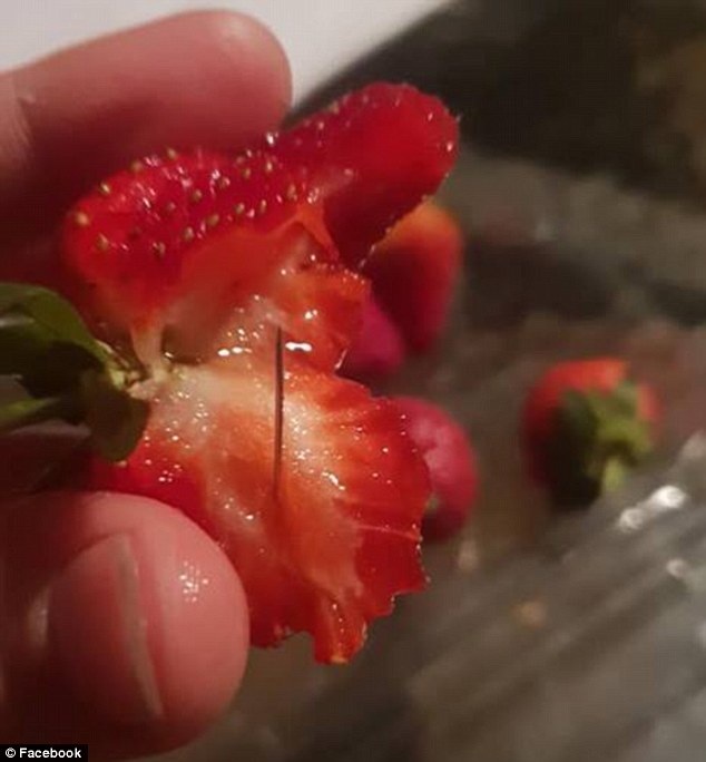 澳大利亚“草莓藏针”引发恐慌 官方建议切碎再吃
