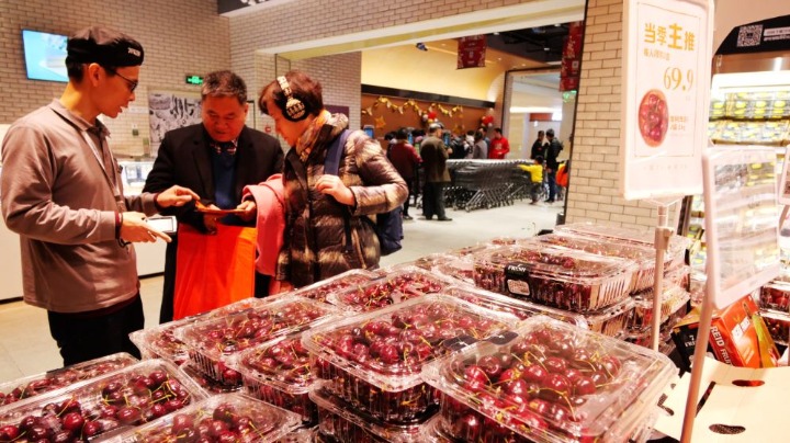 Strong demand ahead of Chinese New Year as Guangzhou unloads 200 containers  of Chilean cherries a day