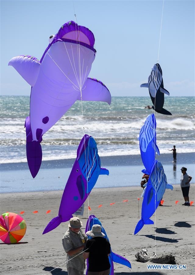 7th Otaki Kite Festival kicks off in New Zealand