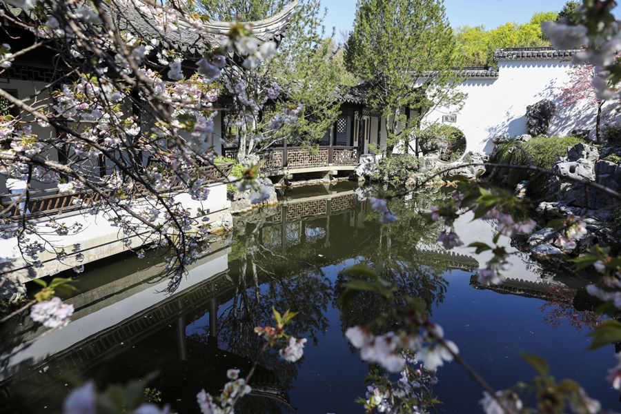 Spring Scenery Of Chinese Scholar S Garden In New York