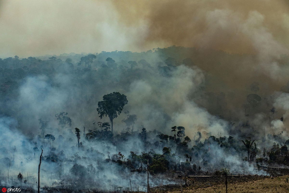 on friday the reporter saw many already deforested areas that