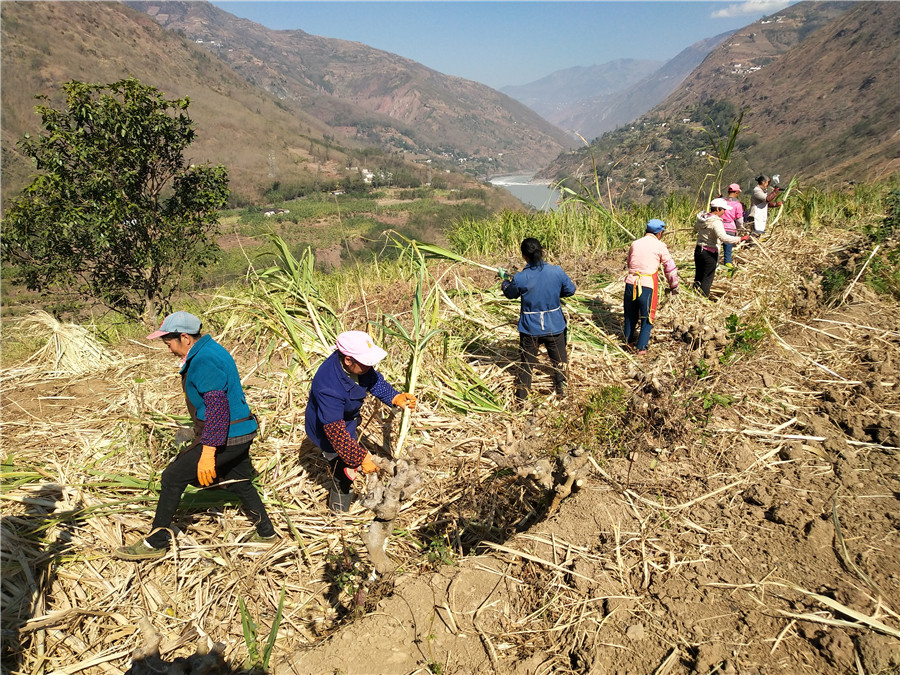 China Revises Law To Clarify Land Property Rights Streamline Administration Chinadaily Com Cn