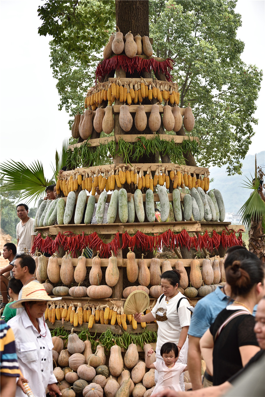 Fun Abounds At Chongqing Agricultural Festival Chinadaily Cn