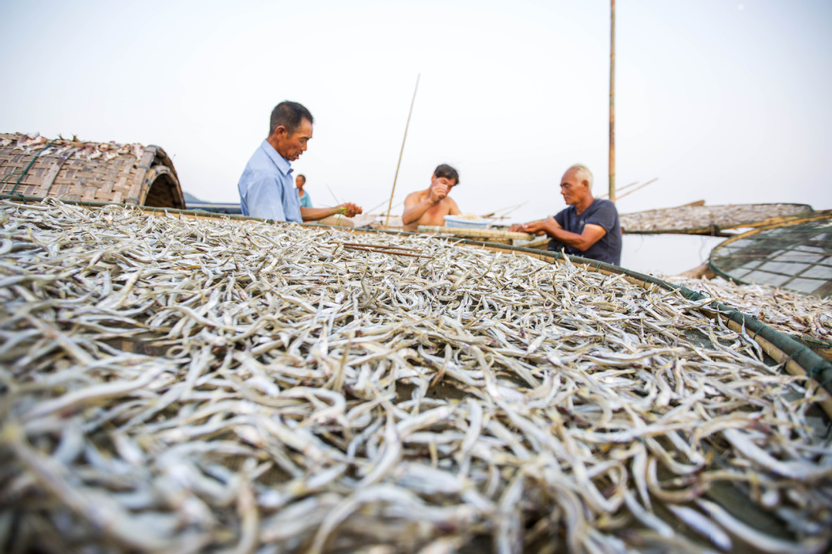 Price Of Fish In China