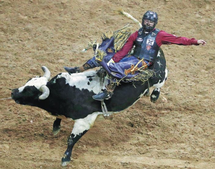 Bull Riders Quickly Back In The Saddle Chinadaily Com Cn