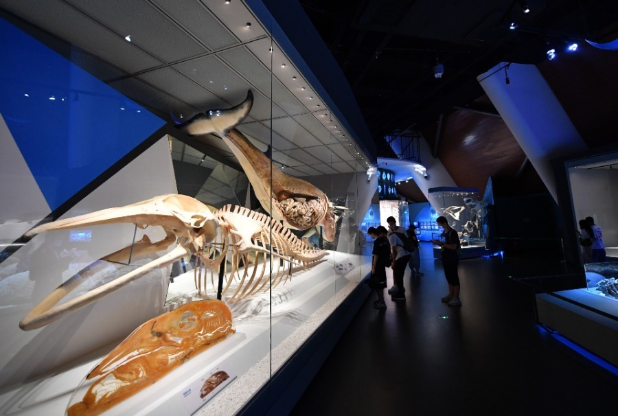 China's National Maritime Museum Reopens as Epidemic Wanes