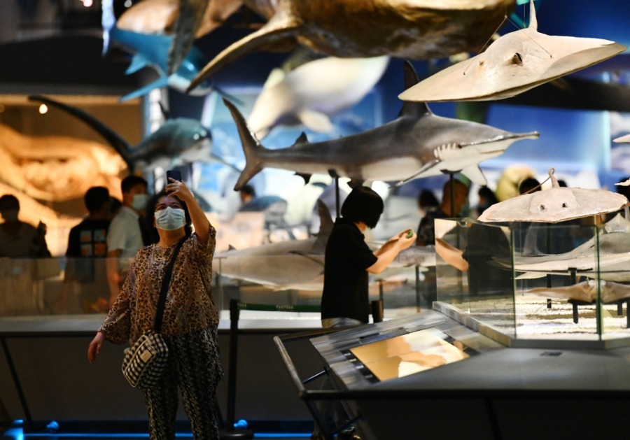 China's National Maritime Museum Reopens as Epidemic Wanes