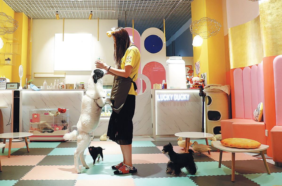 pet cafe