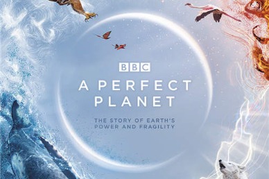 'A Perfect Planet' producers praise China's green effort