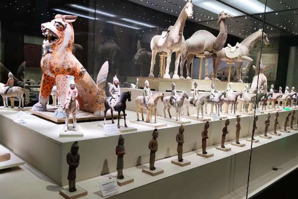 Urumqi museum preserves Xinjiang's multi-ethnic, cross-civilization history