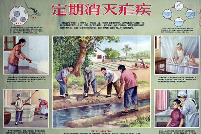 了不起的壮举！世卫组织宣布中国已消除疟疾