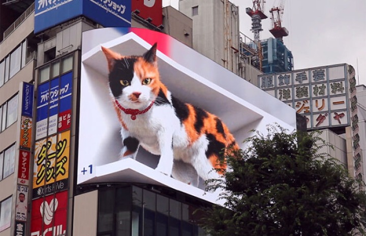 超逼真！日本街头现巨型3D大花猫，会动还会喵喵叫（视频）