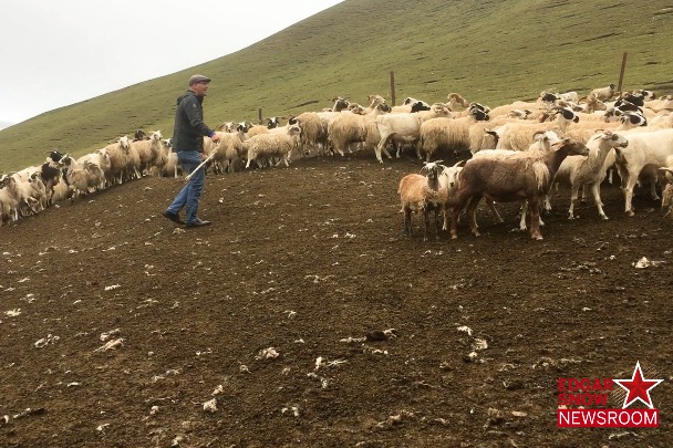 Beyond a century of progress: Traveling China's 'last paved road'