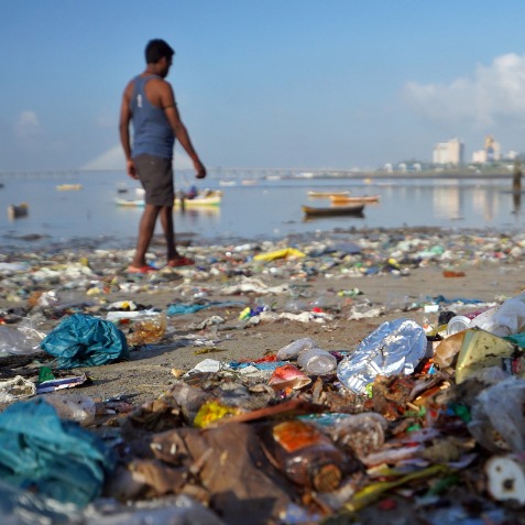 Plastic sticks used in balloons, candies, ice-cream to be prohibited by Jan  1, 2022: Govt