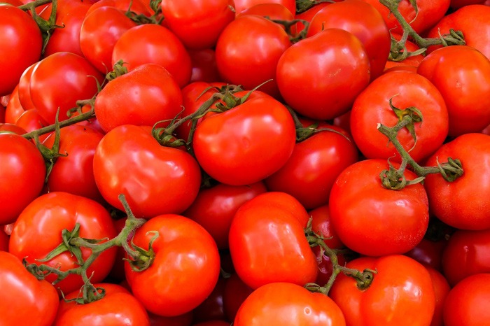 日本研发出能抑制高血压的西红柿 一公斤就要146元