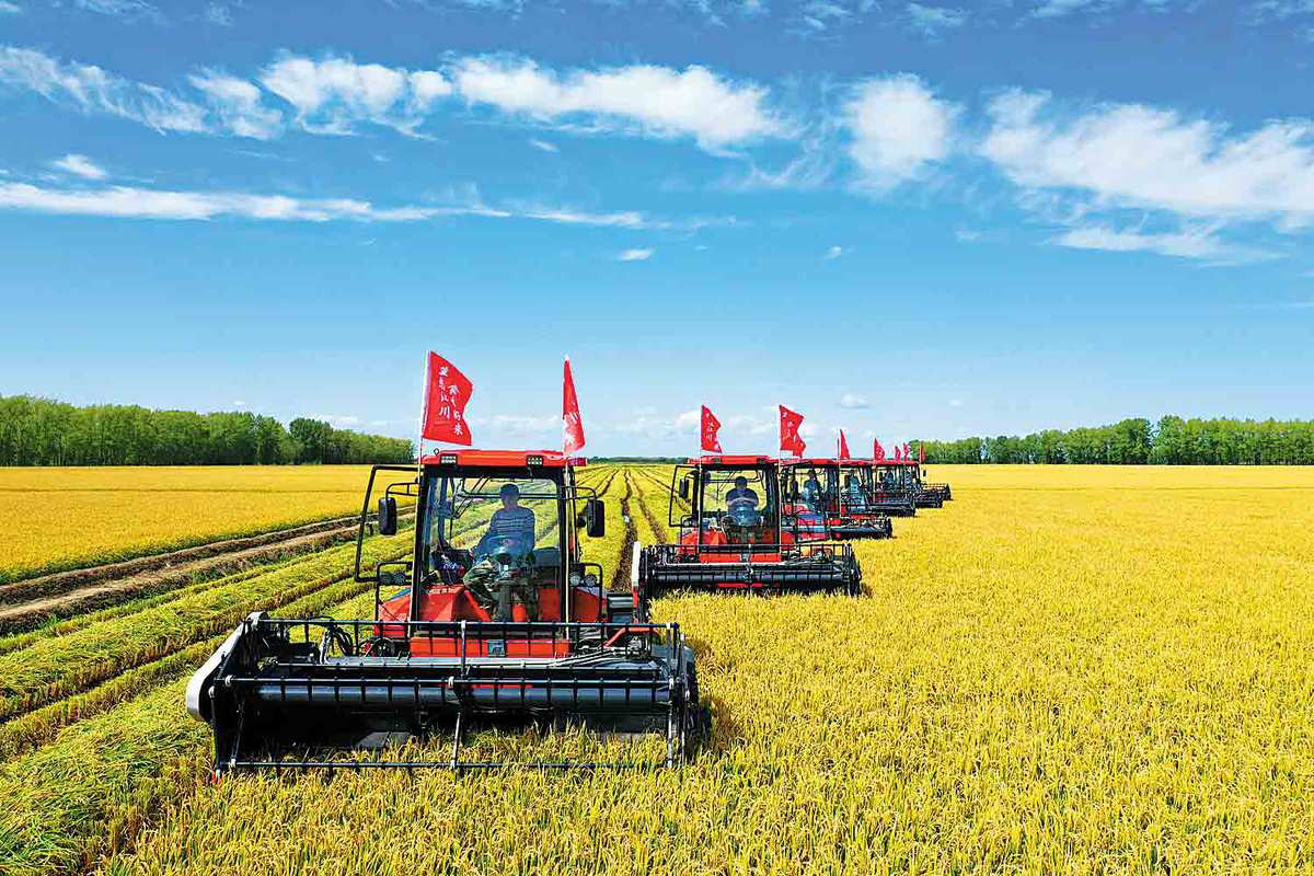 Bumper harvest helped by intelligent agriculture(图1)