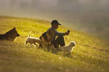 Herders flock to new winter opportunities