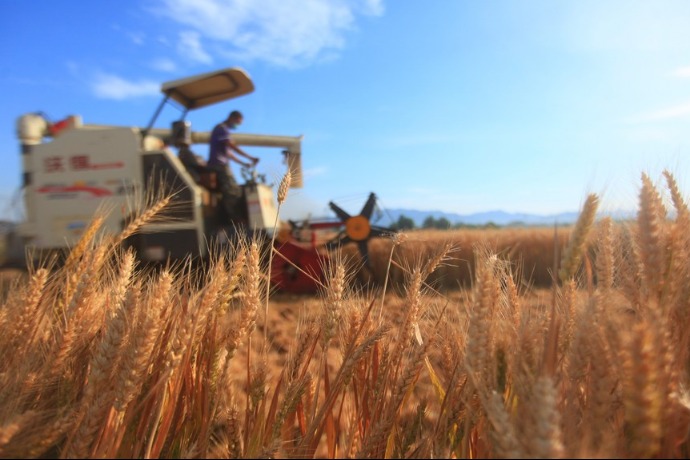 China's food security can withstand challenges