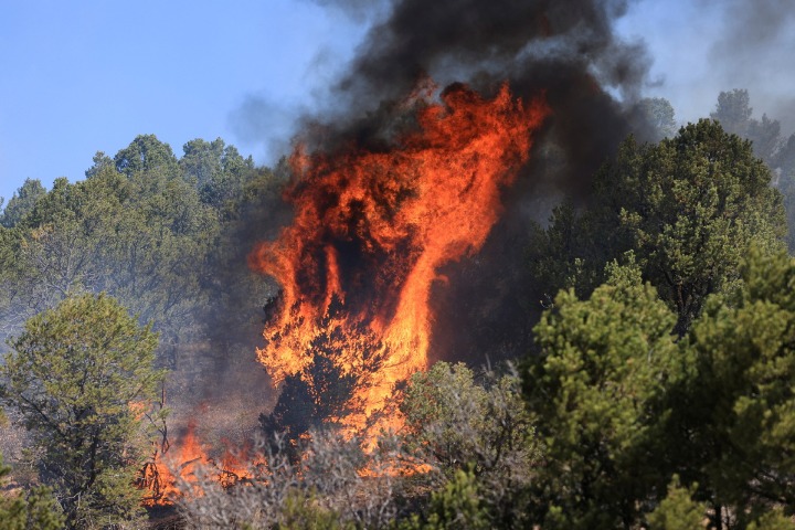 Biden declares ongoing wildfires in New Mexico 'a major disaster'