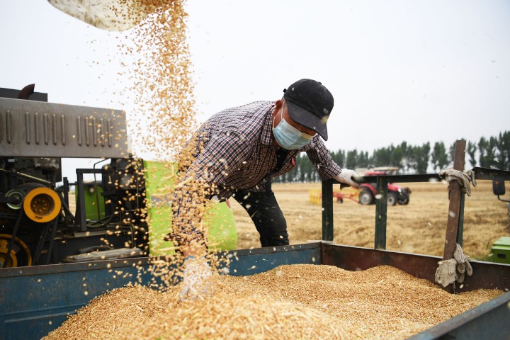 Global grain woes grow, but impact on China may be limited