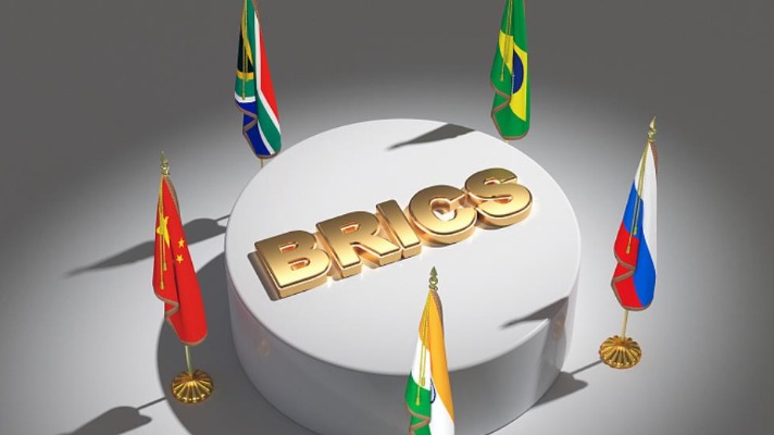 BRICS to become a 'safety net' for developing economies - Chinadaily.com.cn