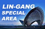 Lin-gang Special Area