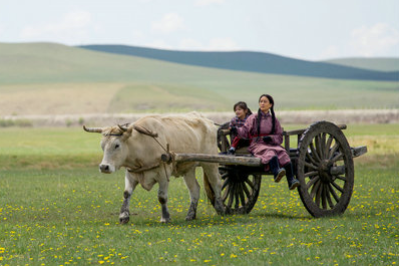 Delving back to a touching chapter in 1960's Inner Mongolia