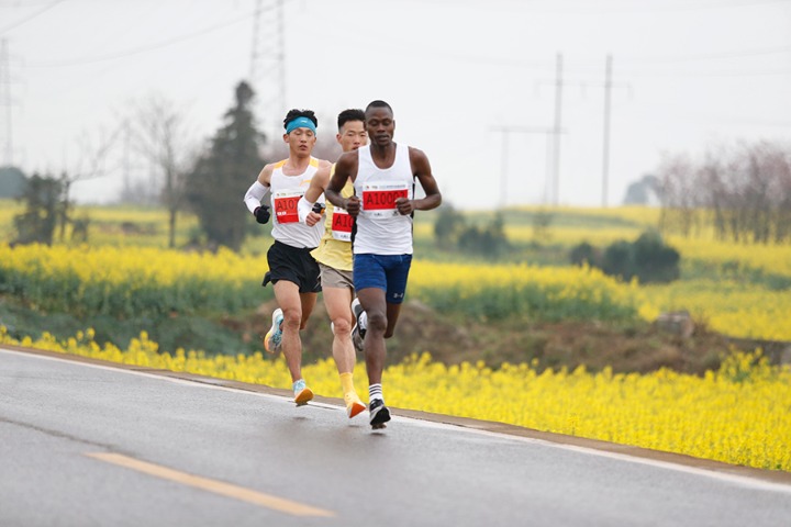 Runners and guests enjoy flower sea in county