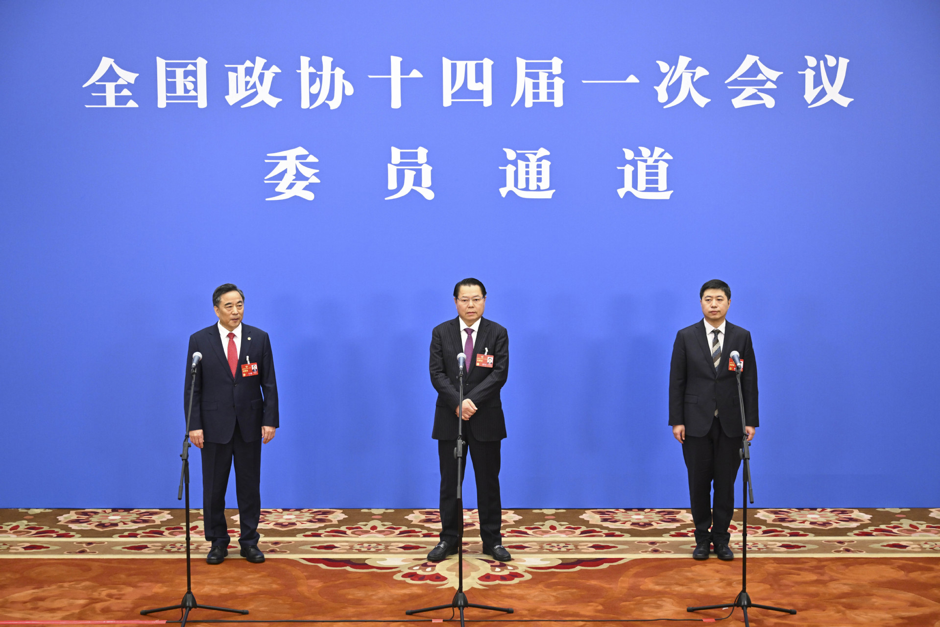 CPPCC members interviewed before closing meeting of 1st session of 14th CPPCC National Committee