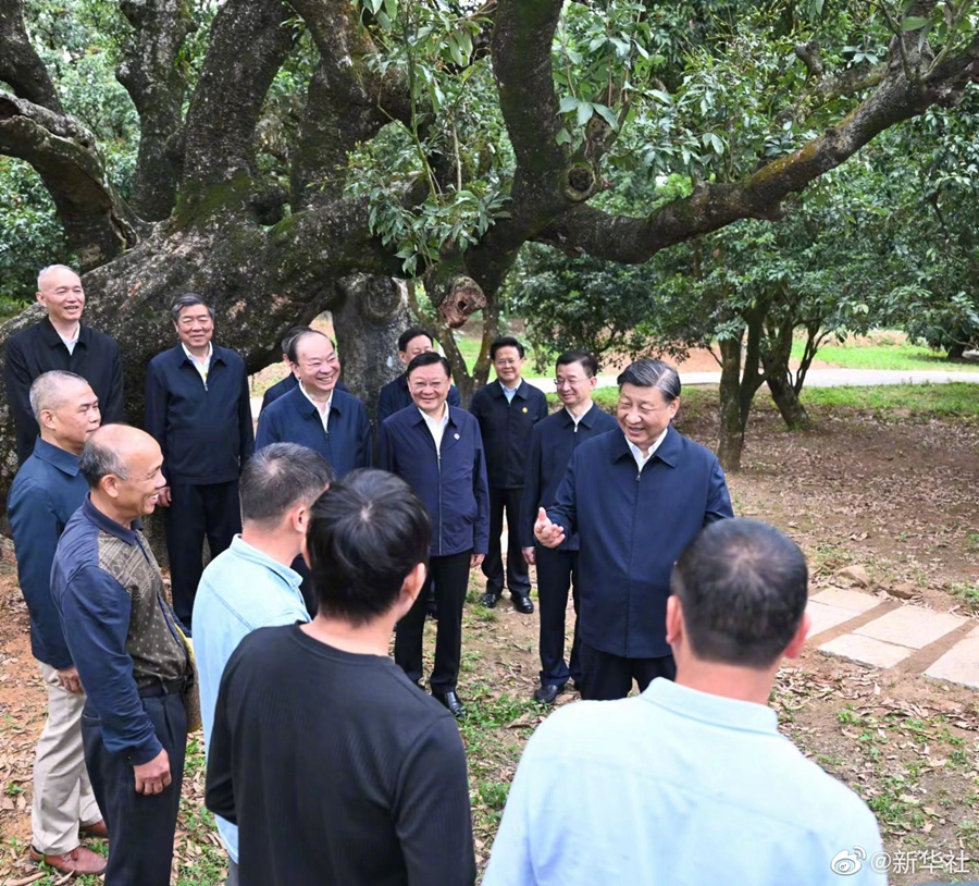 Xi Inspects Southern Chinese City Of Maoming Chinadaily Cn