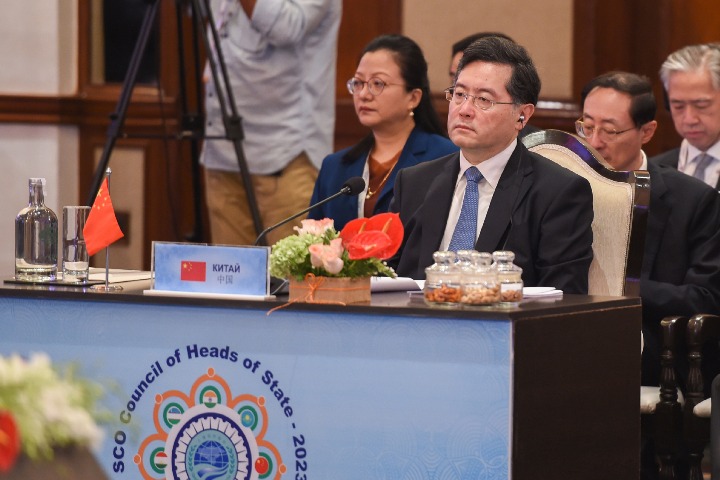 FM Calls For Joint Efforts To Combat Shared Issues At SCO Meeting ...