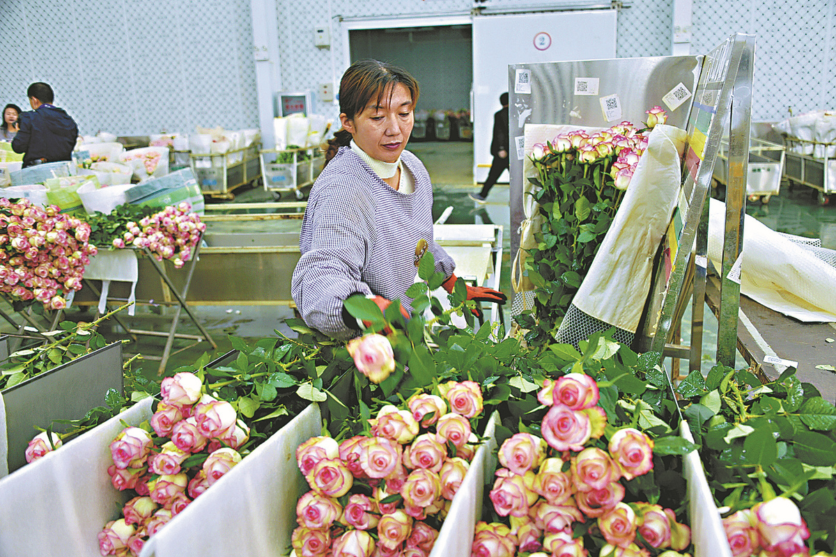 China Aims To Achieve Annual Flower Sales Of Over B By