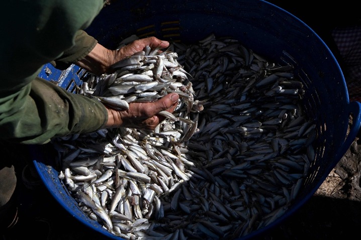 Cambodian wild aquatic products get export nod