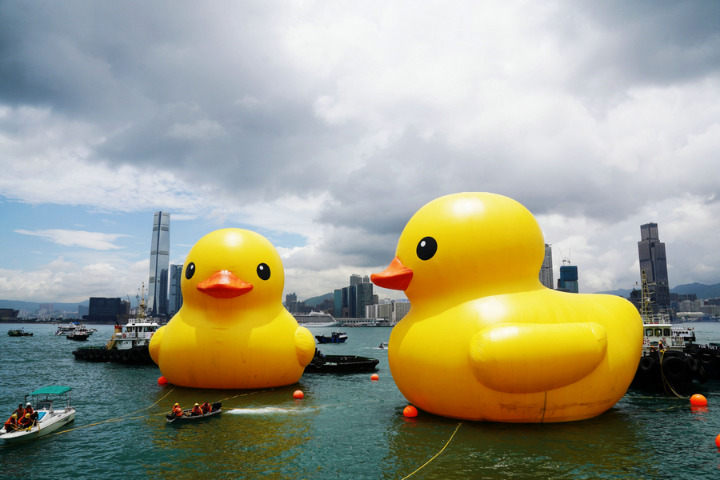 Florentijn Hofman's Giant Rubber Ducks Return to Hong Kong