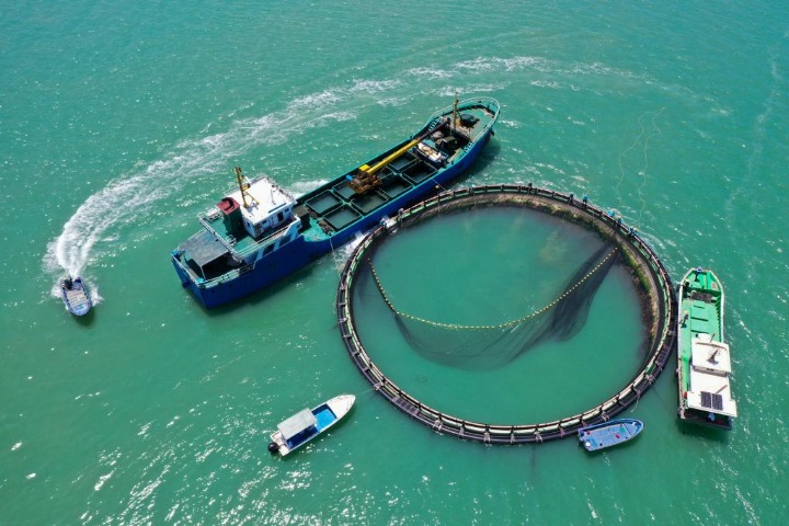 每日一词∣ 深远海养殖发展 development of deep-sea and far-sea aquaculture