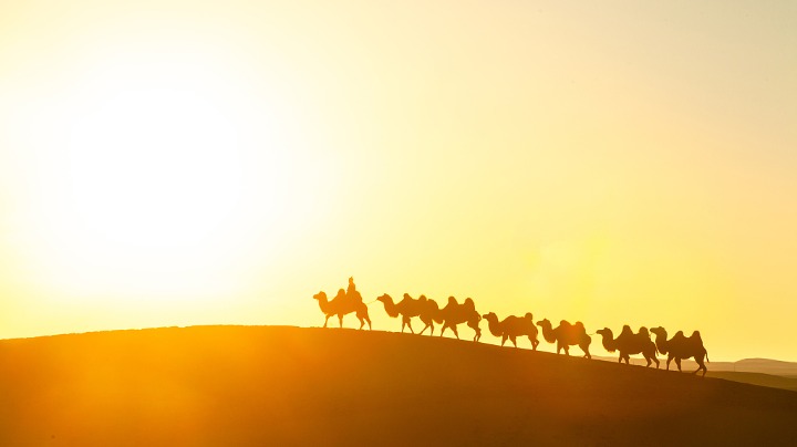 シルクロード Silk Road-themed exhibition to be held in Japan - Chinadaily