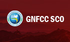 GNFCC公司