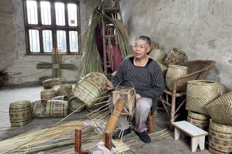 闽侨精英八闽行访问团走进宁德：发挥桥梁纽带作用共促产业经济发展