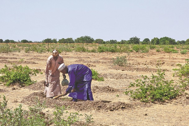 Scientists Help Combat Desertification Woes Promote UN Goals World