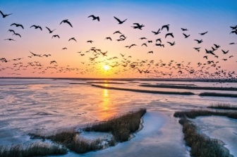 《消失的她》拍摄地曝光海水比三亚纯净椰林比普吉浪漫