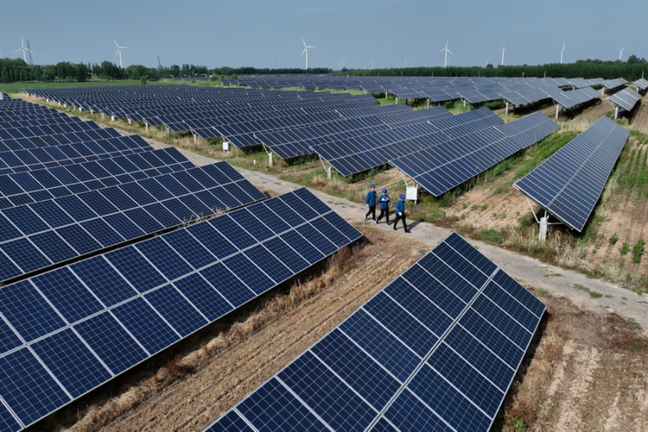 Solar project powers rural vitalization in Dezhou