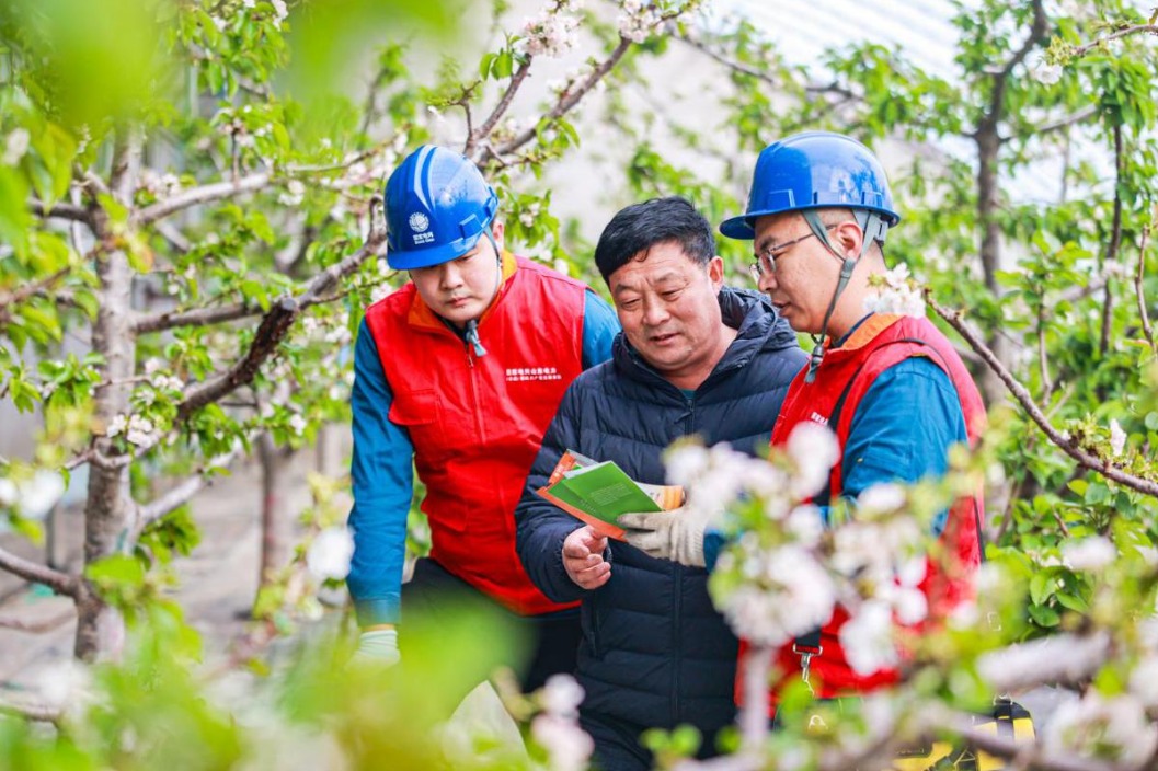 State Grid Weihai Power Supply enhances farmers' livelihoods